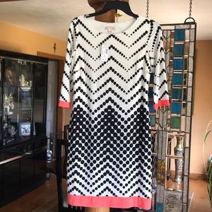 NWT dress barn size 4 dress